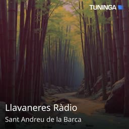 Llavaneres Ràdio