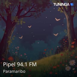 Pipel 94.1 FM
