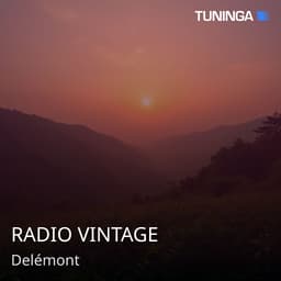 RADIO VINTAGE
