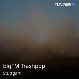bigFM Trashpop
