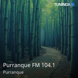 Purranque FM 104.1