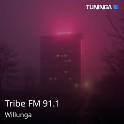 Tribe FM 91.1