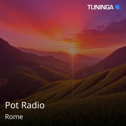 Pot Radio
