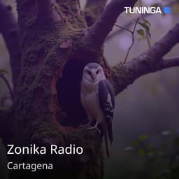 Zonika Radio
