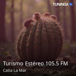 Turismo Estéreo 105.5 FM