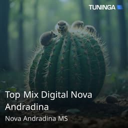 Top Mix Digital Nova Andradina