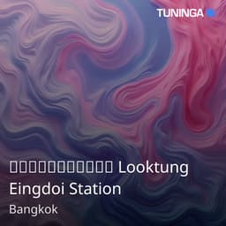 เพลงลูกทุ่ง Looktung Eingdoi Station