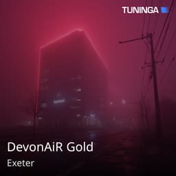 DevonAiR Gold