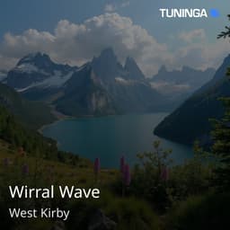 Wirral Wave