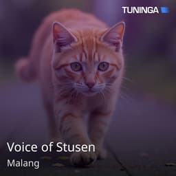 Voice of Stusen