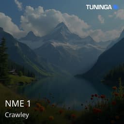 NME 1