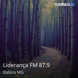 Liderança FM 87.9