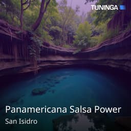 Panamericana Salsa Power