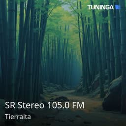 SR Stereo 105.0 FM