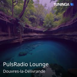PulsRadio Lounge