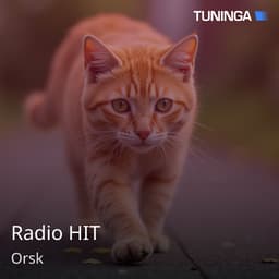 Radio HIT