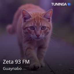 Zeta 93 FM