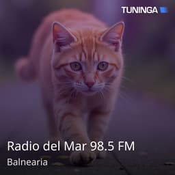 Radio del Mar 98.5 FM