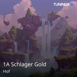 1A Schlager Gold