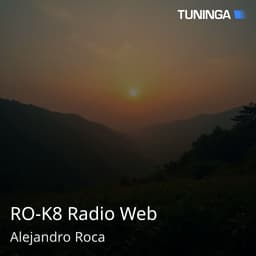 RO-K8 Radio Web