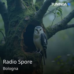 Radio Spore