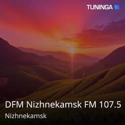 DFM Nizhnekamsk FM 107.5