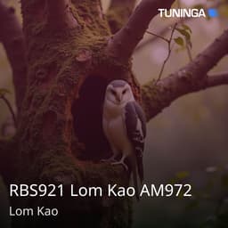 RBS921 Lom Kao AM972