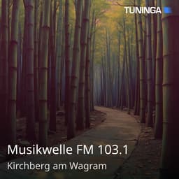 Musikwelle FM 103.1