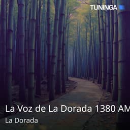 La Voz de La Dorada 1380 AM