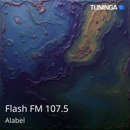 Flash FM 107.5