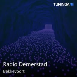 Radio Demerstad
