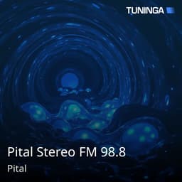 Pital Stereo FM 98.8