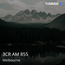 3CR AM 855