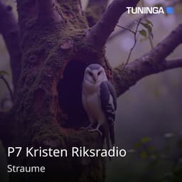 P7 Kristen Riksradio
