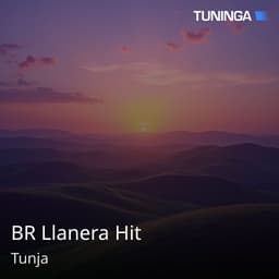BR Llanera Hit