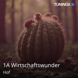 1A Wirtschaftswunder