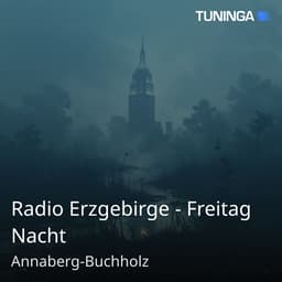 Radio Erzgebirge - Freitag Nacht