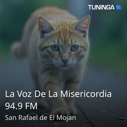 La Voz De La Misericordia 94.9 FM