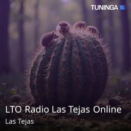 LTO Radio Las Tejas Online