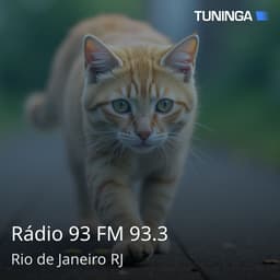 Rádio 93 FM 93.3