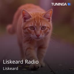 Liskeard Radio