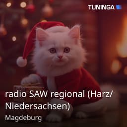 radio SAW regional (Harz/Niedersachsen)