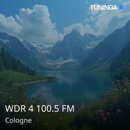 WDR 4 100.5 FM