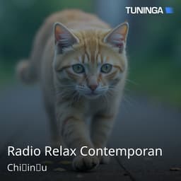 Radio Relax Contemporan