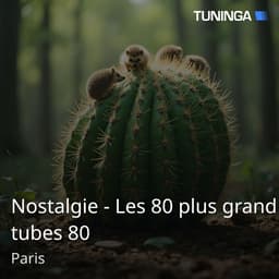 Nostalgie - Les 80 plus grand tubes 80