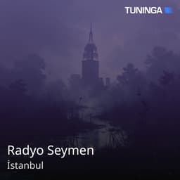 Radyo Seymen