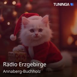 Radio Erzgebirge