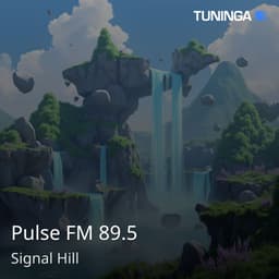 Pulse FM 89.5