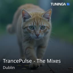 TrancePulse - The Mixes