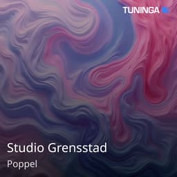 Studio Grensstad